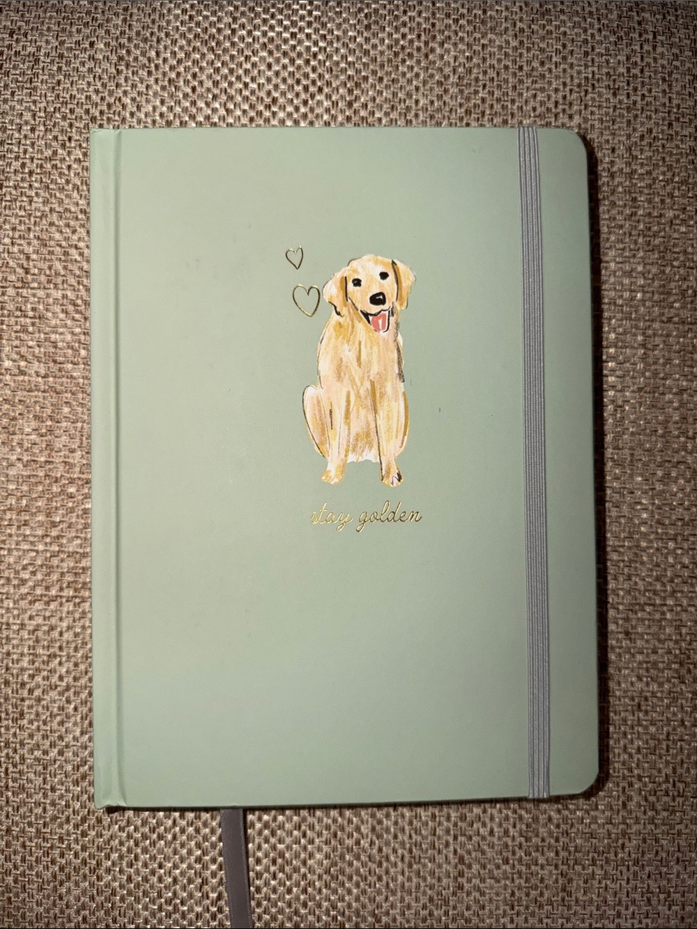 Mint Green Dog Notebook with Golden Retriever Illustration
